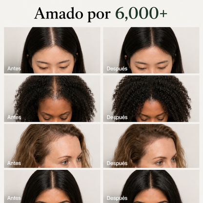 Barra Revitalizante Coreana PureRoot