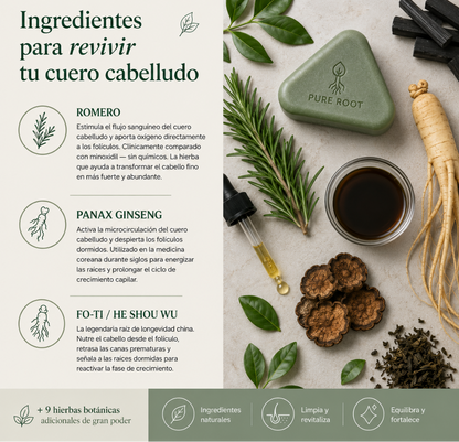 Barra Revitalizante Coreana PureRoot